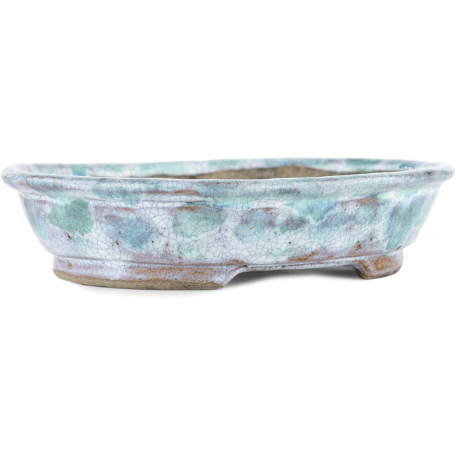 Vaso bonsai ovale bianco e blu di Bunzan - 195 x 170 x 45 mm