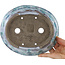 Ovale witte en blauwe bonsaipot van Bunzan - 195 x 170 x 45 mm