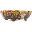 Ovaler mehrfarbiger Bonsai-Topf von Bunzan - 145 x 130 x 45 mm