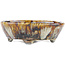 Oval multicolor bonsai pot by Bunzan - 145 x 130 x 45 mm