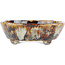 Oval multicolor bonsai pot by Bunzan - 145 x 130 x 45 mm