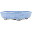 Maceta ovalada para bonsái azul de Bunzan - 150 x 125 x 35 mm