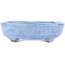 Maceta ovalada para bonsái azul de Bunzan - 150 x 125 x 35 mm