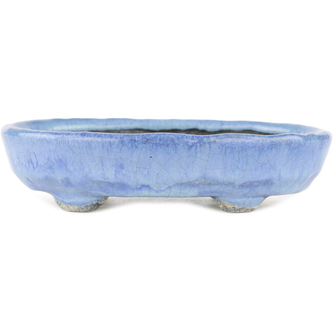 Vaso bonsai ovale blu di Bunzan - 150 x 125 x 35 mm