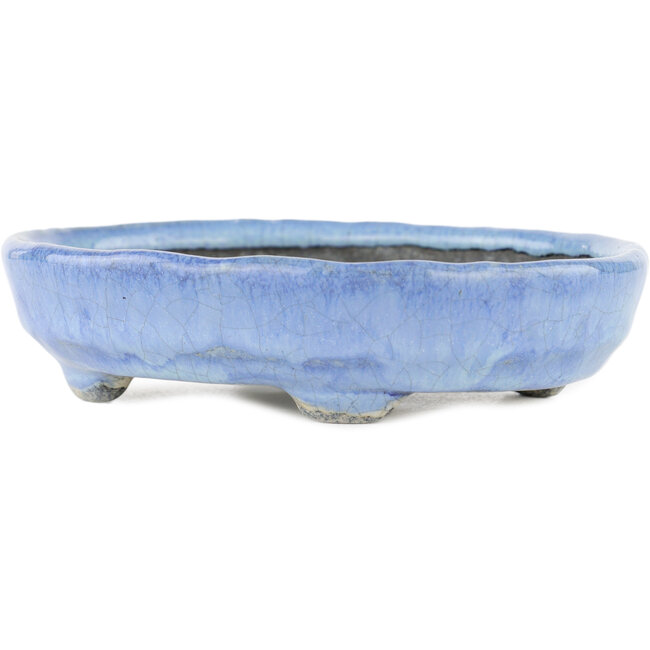 Oval blue bonsai pot by Bunzan - 150 x 125 x 35 mm