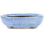 Oval blue bonsai pot by Bunzan - 150 x 125 x 35 mm