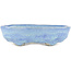 Oval blue bonsai pot by Bunzan - 145 x 120 x 40 mm