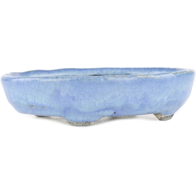 Ovale blauwe bonsaipot van Bunzan - 150 x 125 x 35 mm