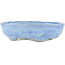 Vaso bonsai ovale blu di Bunzan - 145 x 120 x 40 mm