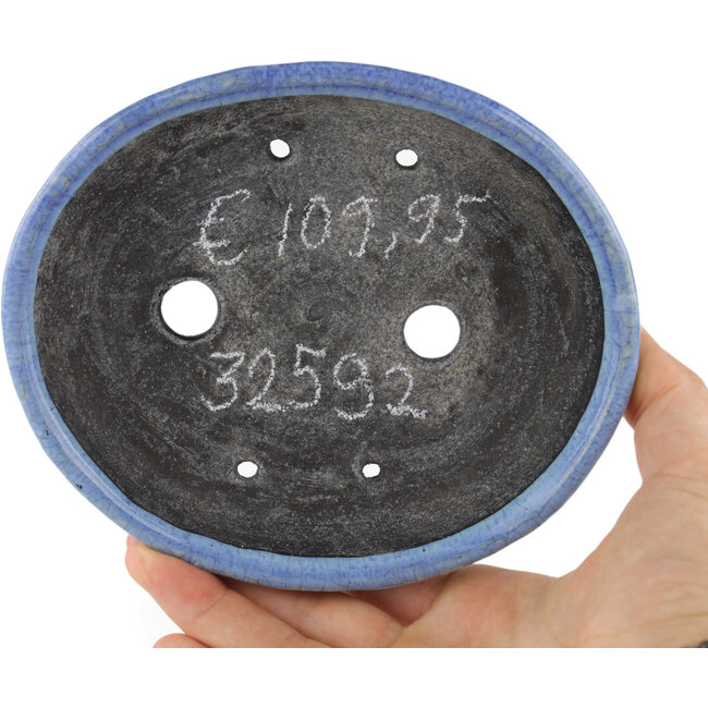 Ovale blauwe bonsaipot van Bunzan - 150 x 125 x 35 mm