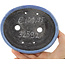 Maceta ovalada para bonsái azul de Bunzan - 150 x 125 x 35 mm