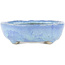 Oval blue bonsai pot by Bunzan - 145 x 120 x 40 mm