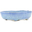 Vaso bonsai ovale blu di Bunzan - 145 x 120 x 40 mm