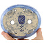 Maceta ovalada para bonsái azul de Bunzan - 150 x 125 x 35 mm