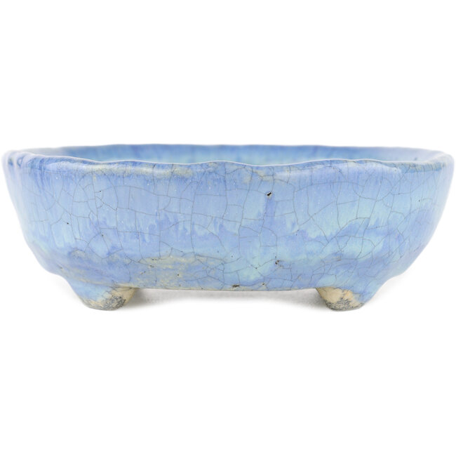 Maceta ovalada para bonsái azul de Bunzan - 145 x 120 x 40 mm