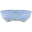 Oval blue bonsai pot by Bunzan - 145 x 120 x 40 mm