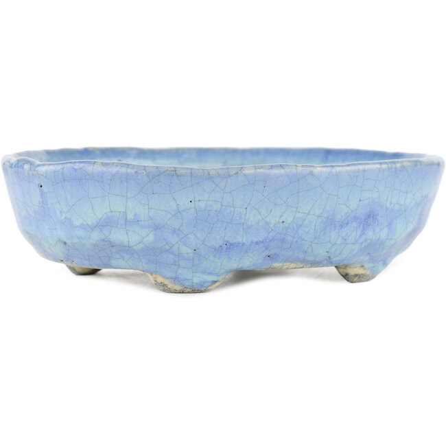 Pot à bonsaï ovale bleu par Bunzan - 145 x 120 x 40 mm
