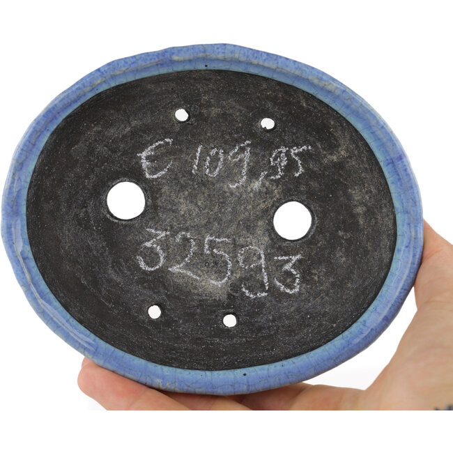 Pot à bonsaï ovale bleu par Bunzan - 145 x 120 x 40 mm