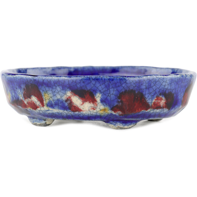 Vaso bonsai ovale blu di Bunzan - 140 x 120 x 40 mm