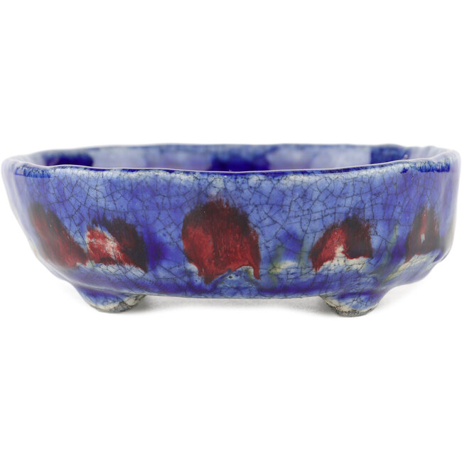 Ovale blauwe bonsaipot van Bunzan - 140 x 120 x 40 mm