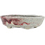 Oval red and white bonsai pot by Bunzan - 140 x 120 x 40 mm