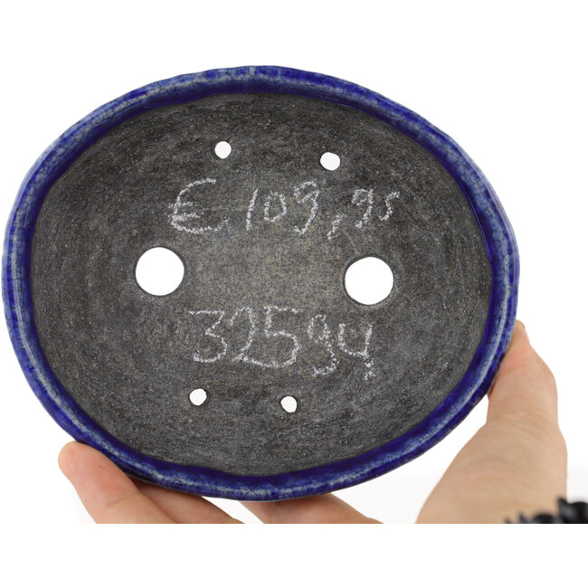 Pot à bonsaï ovale bleu par Bunzan - 140 x 120 x 40 mm
