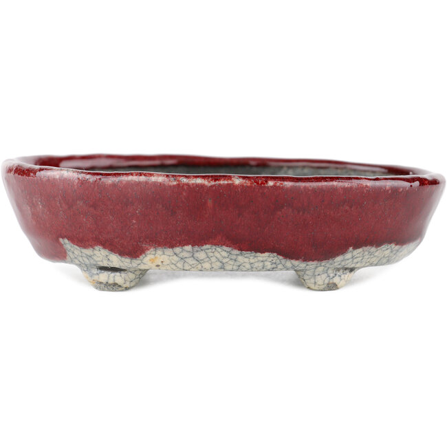 Vaso bonsai ovale rosso e bianco di Bunzan - 135 x 115 x 35 mm
