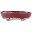 Oval red and white bonsai pot by Bunzan - 135 x 115 x 35 mm