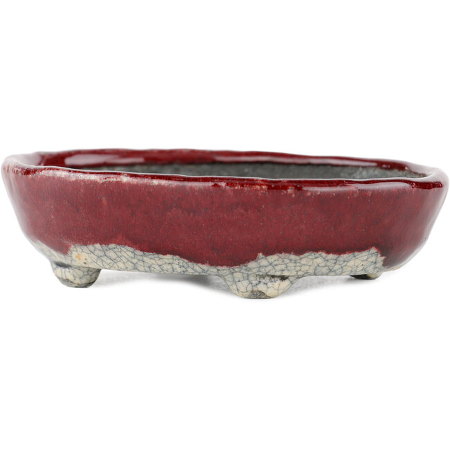 Vaso bonsai ovale rosso e bianco di Bunzan - 135 x 115 x 35 mm