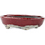 Oval red and white bonsai pot by Bunzan - 135 x 115 x 35 mm