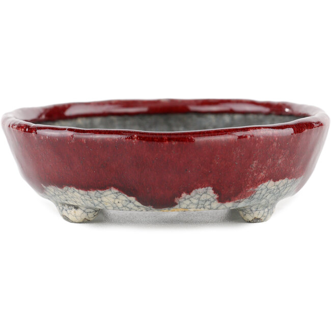 Ovale rood-witte bonsaipot van Bunzan - 135 x 115 x 35 mm