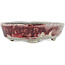 Oval red and white bonsai pot by Bunzan - 140 x 120 x 40 mm