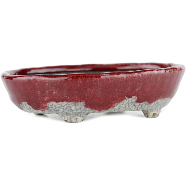Vaso bonsai ovale rosso e bianco di Bunzan - 135 x 115 x 35 mm