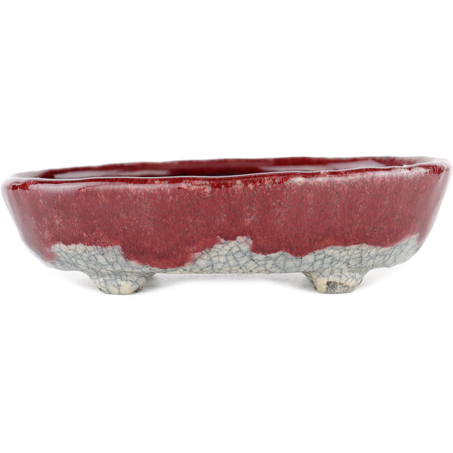 Pot à bonsaï ovale rouge et blanc par Bunzan - 135 x 115 x 35 mm