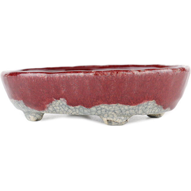 Ovale rood-witte bonsaipot van Bunzan - 135 x 115 x 35 mm