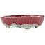 Oval red and white bonsai pot by Bunzan - 135 x 115 x 35 mm