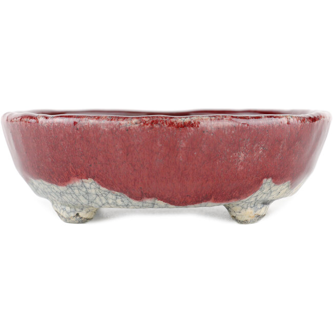 Pot à bonsaï ovale rouge et blanc par Bunzan - 135 x 115 x 35 mm