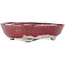 Oval red and white bonsai pot by Bunzan - 135 x 115 x 35 mm