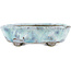 Oval white and blue bonsai pot by Bunzan - 120 x 100 x 35 mm