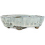 Oval white and grey bonsai pot by Bunzan - 120 x 100 x 35 mm