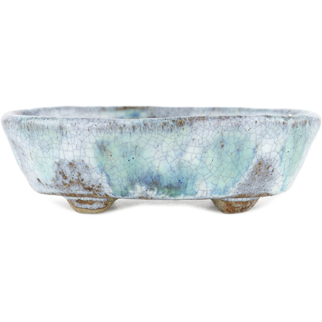 Maceta ovalada para bonsái blanca y azul de Bunzan - 120 x 100 x 35 mm