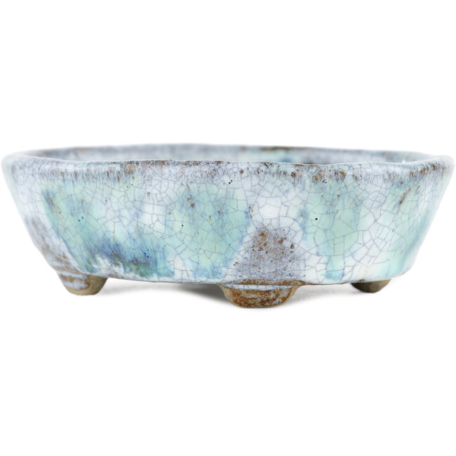 Ovale witte en blauwe bonsaipot van Bunzan - 120 x 100 x 35 mm