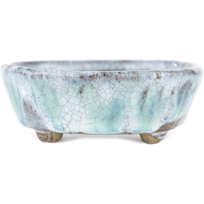 Vaso bonsai ovale bianco e blu di Bunzan - 120 x 100 x 35 mm