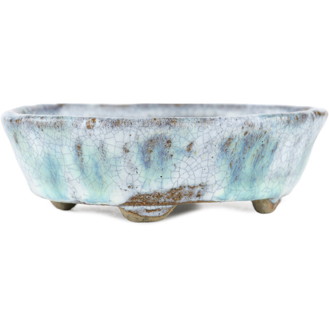 Ovale witte en blauwe bonsaipot van Bunzan - 120 x 100 x 35 mm