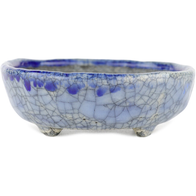 Maceta ovalada para bonsái azul de Bunzan - 130 x 105 x 40 mm