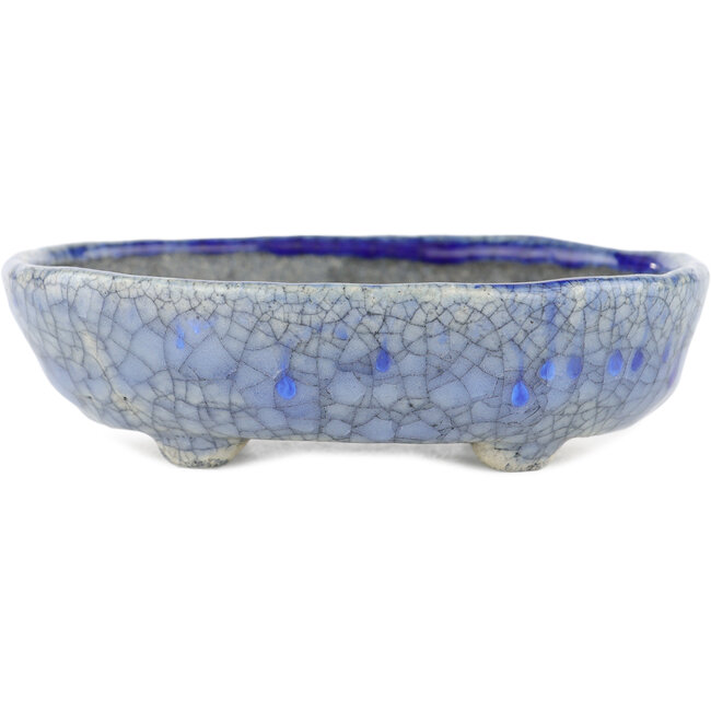 Oval blue bonsai pot by Bunzan - 130 x 105 x 40 mm
