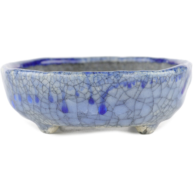 Vaso bonsai ovale blu di Bunzan - 130 x 105 x 40 mm