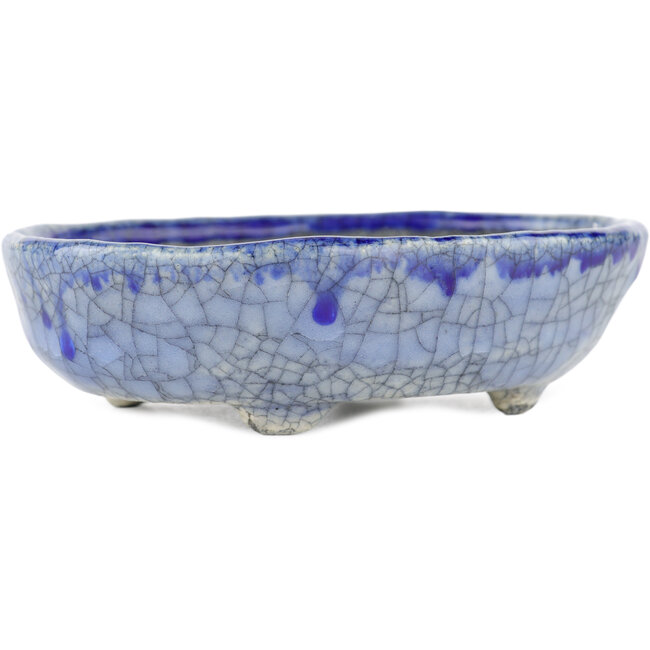Maceta ovalada para bonsái azul de Bunzan - 130 x 105 x 40 mm