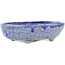 Oval blue bonsai pot by Bunzan - 130 x 105 x 40 mm