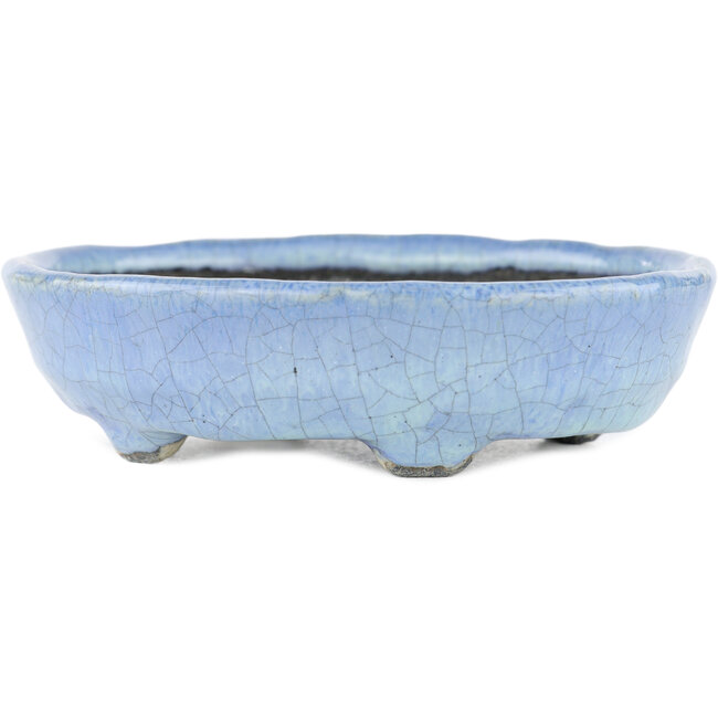 Pot à bonsaï ovale bleu par Bunzan - 125 x 110 x 35 mm